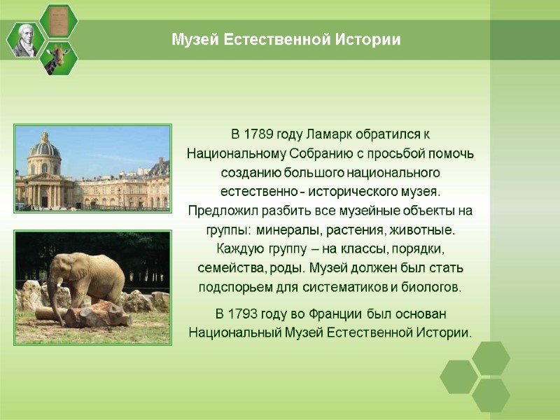 Музей Естественной Истории В 1789 году Ламарк обратился к Национальному Собранию с просьбой помочь